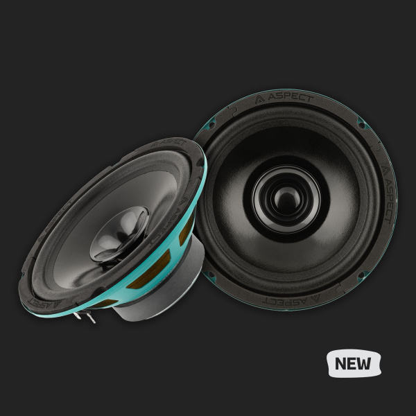 ASPECT CWS-65
